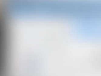 Caso. Transformación de "Alimentos del Sur"