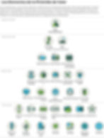 Elementos Pirámide de Valor