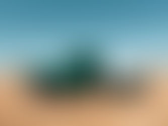 Exploring Green Freight Transportation Solutions for Trucks Between Canada and the US