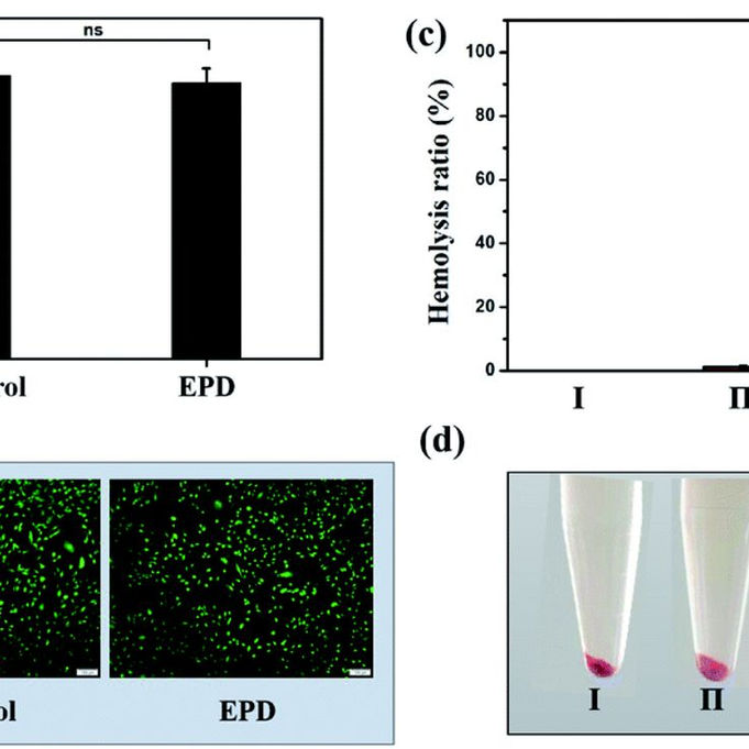 ISO 10993-1 and Biocompatibility: Safeguarding Patient Health