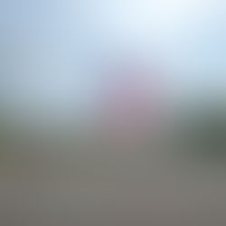 Reshoring of US Manufacturing: A Surge in the Making