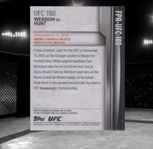 UFC180 Back.jpg