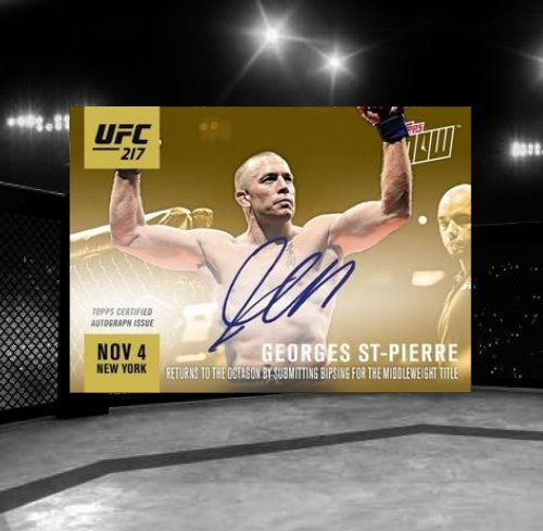 217-3E Georges St-Pierre