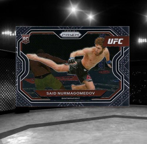 Nurmagomedov, Said