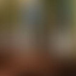 The Role of Engineering in Product Development: Design Principles and Applications