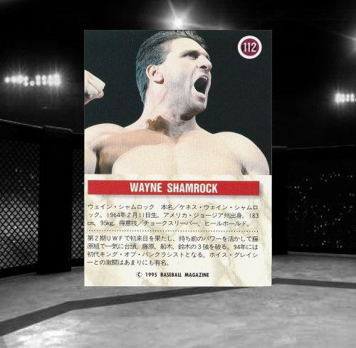 1995 BBM Pro Wrestling #112 Ken Shamrock