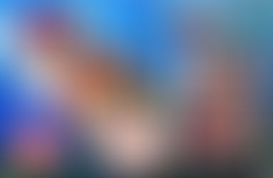 2024 Bandai Rizin FF Cards