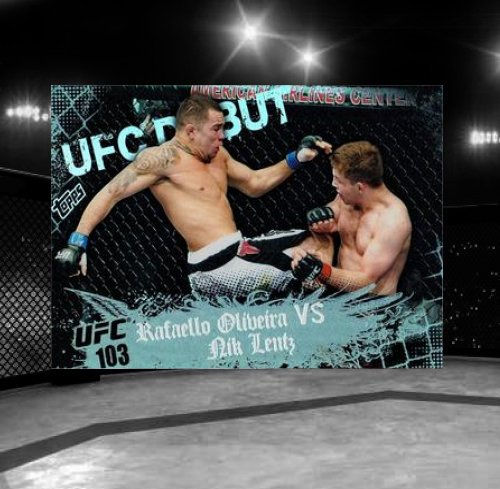 2010 Topps UFC Main Event #136 Rafaello Oliveira / Nik Lentz