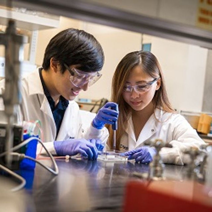 The Role of 3D Printing in Healthcare