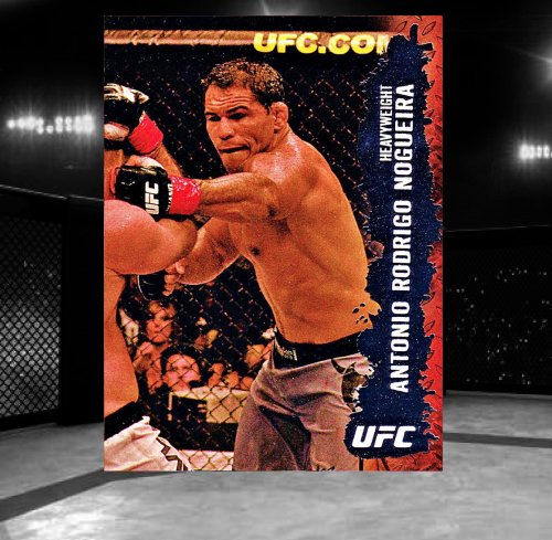2009 Topps UFC Round 2 #62 Antonio Rodrigo Nogueira