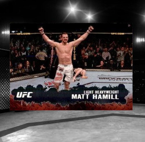 2009 Topps UFC Round 2 #8 Matt Hamill
