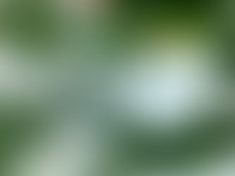 The Art of Injection Molding: A Comprehensive Guide