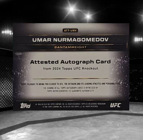 2024 Topps Knockout UFC - Attested Autographs #ATT-UNV Umar Nurmagomedov