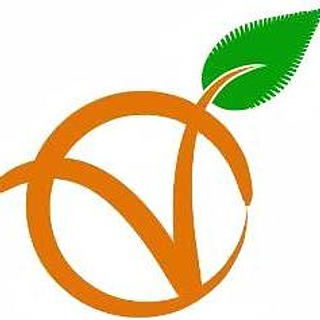 Foto do escritor: nemabrasil