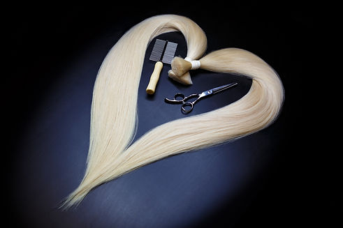 bella-pony-hair-extension-equipment-of-natural-blonde-hair.jpg