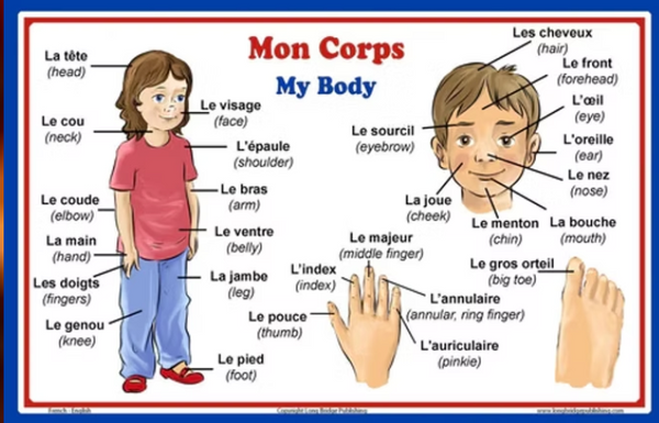 Screenshot 2025-10-29 at 2.43.49 PM.png