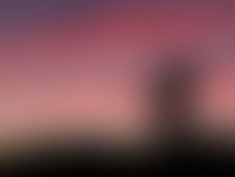 The Ninety-Sixth (Flesh)