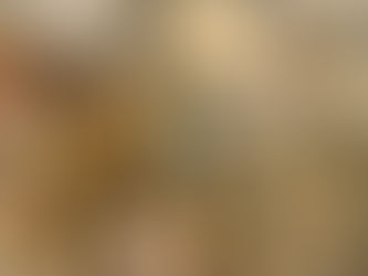 The Hundred-Eighty-Fifth (Romans Part 14)