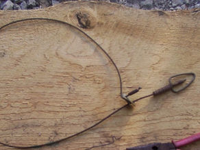 The Two-Hundred-Fifty-Fourth (Snares)