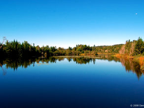 The Fifty-Fifth (Patience)