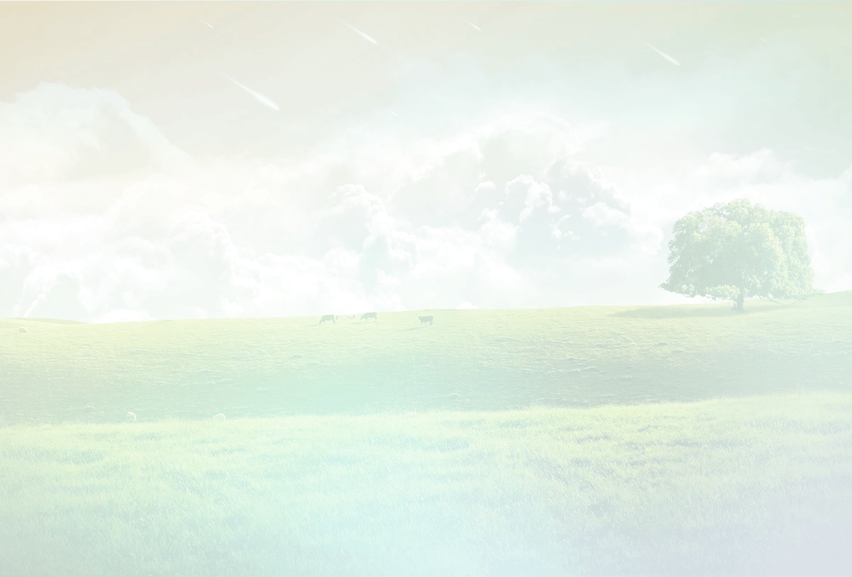bg3.gif