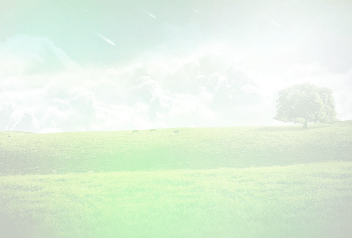 bg.gif