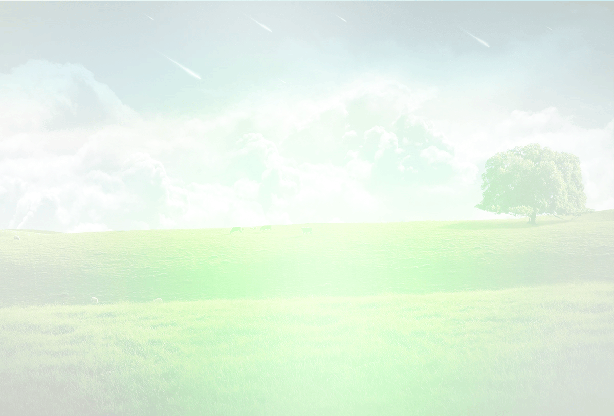 bg2.gif
