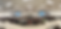 Town_Hall.png