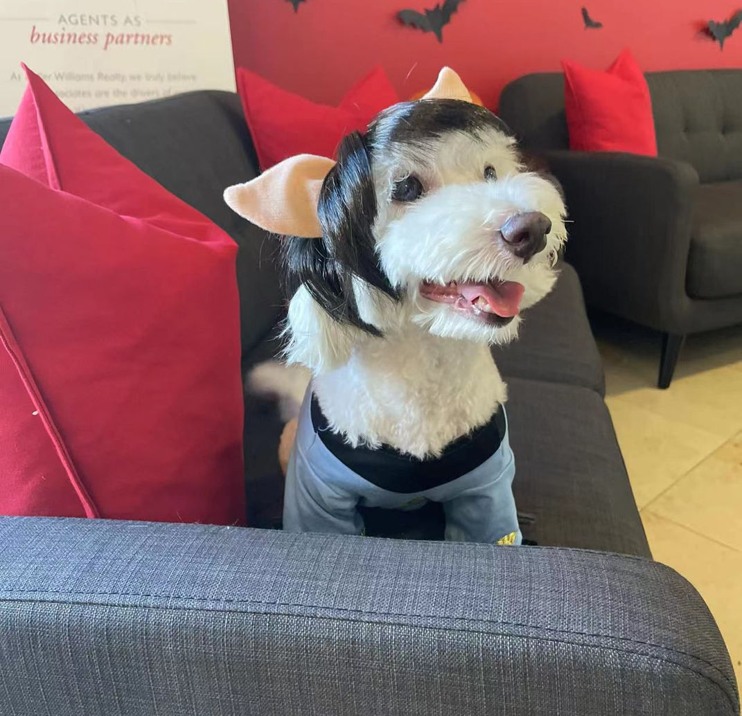 WhatsApp Image 2021-11-01 at 23.47.17.jpeg