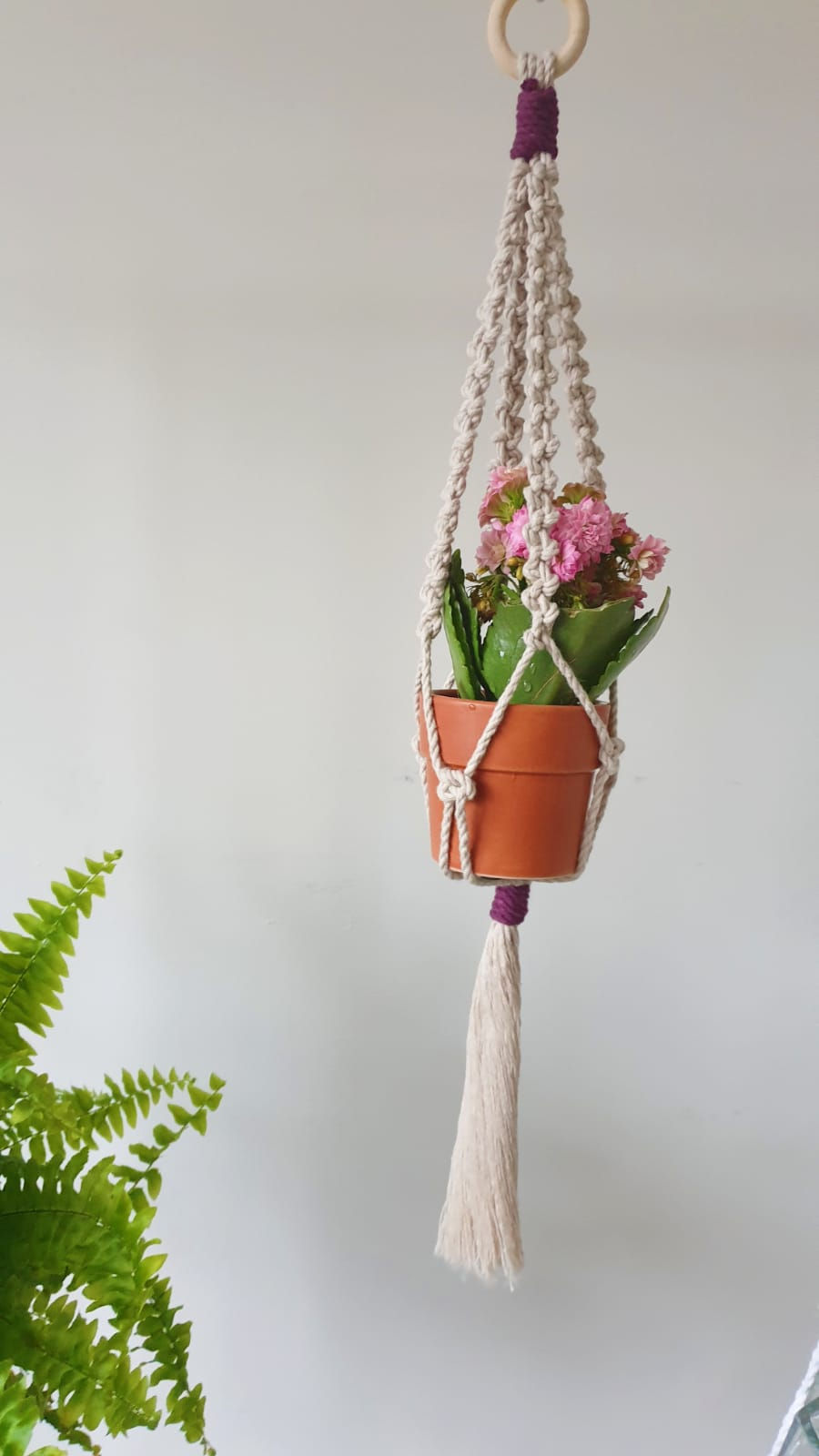 Miniatura: Butterfly Plant Hanger