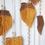 Thumbnail: Autumn Feathers