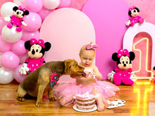 Smash Minnie Martina
