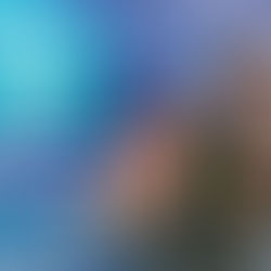 Feira Fotografar 2019