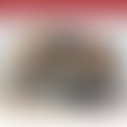 Workshop Mundo do Newborn