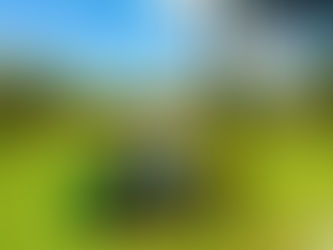 Anthony e a lida no campo