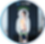 verifyt_circle_frame.png