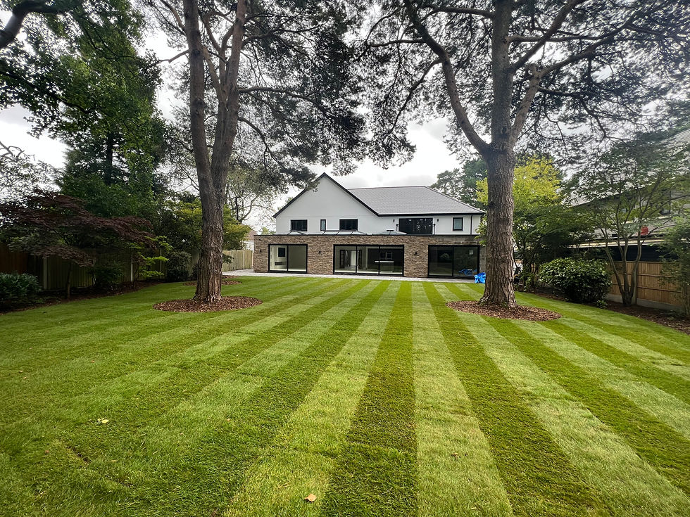 Minimalist Garden