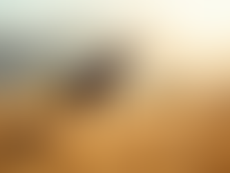 Ultimate Guide to Hunting Blue Wildebeest in South Africa Summer: Tips, Caliber Choices, and Safety Precautions