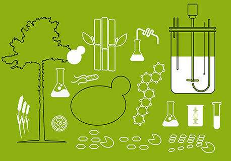 Fully online: Post-graduate course on Industrial Biotechnology for Lignocellulose Based Processes