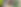Untitled (1163 x 400 px) (5).png