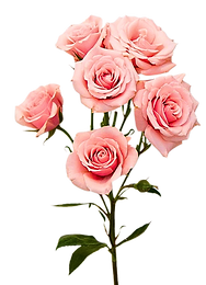 BOUQUETS 4 LIFE (5).png