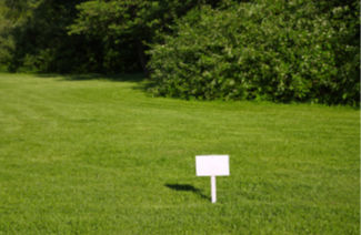 Untitled design - 2025-11-12T165219_edited.jpg