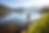 Untitled design (35)_edited.png