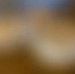 swissmocha and a piece of cake on a table