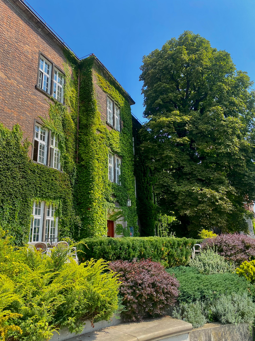 A brick building covered in ivy, part of Wawel castle in Krakow