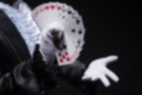 Magicien, illusionniste