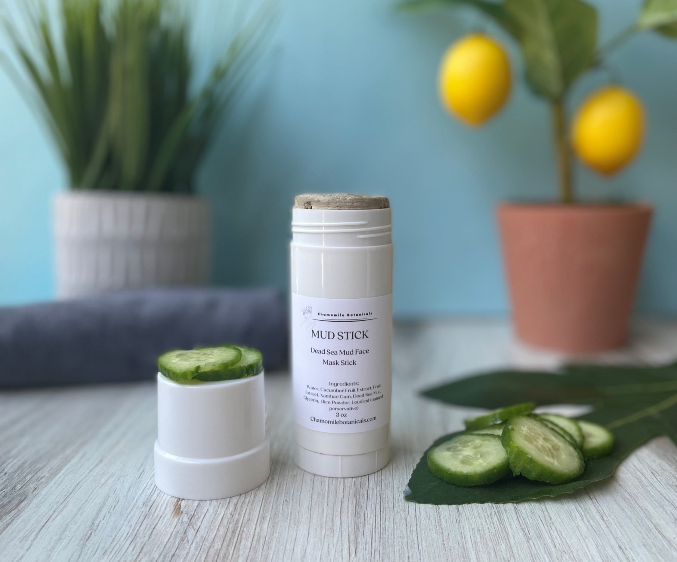 Dead Sea Mud Face Mask Stick - Detoxifying Cleanser +Cucumber + Fruit Enzymes