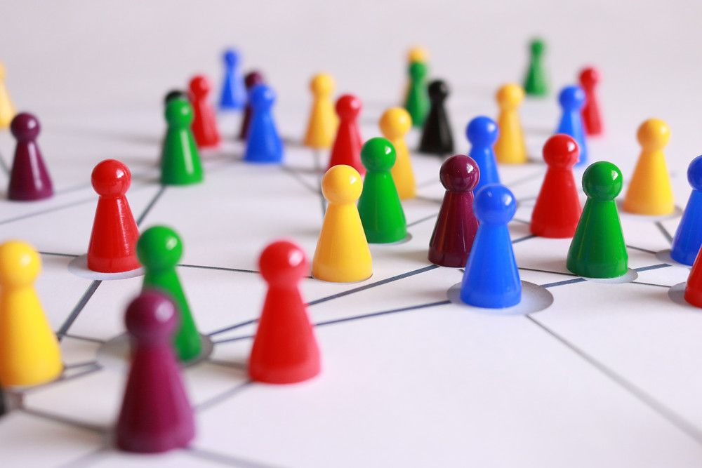 Networking Profissional