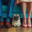 Miniature : A PUG'S PERSPECTIVE