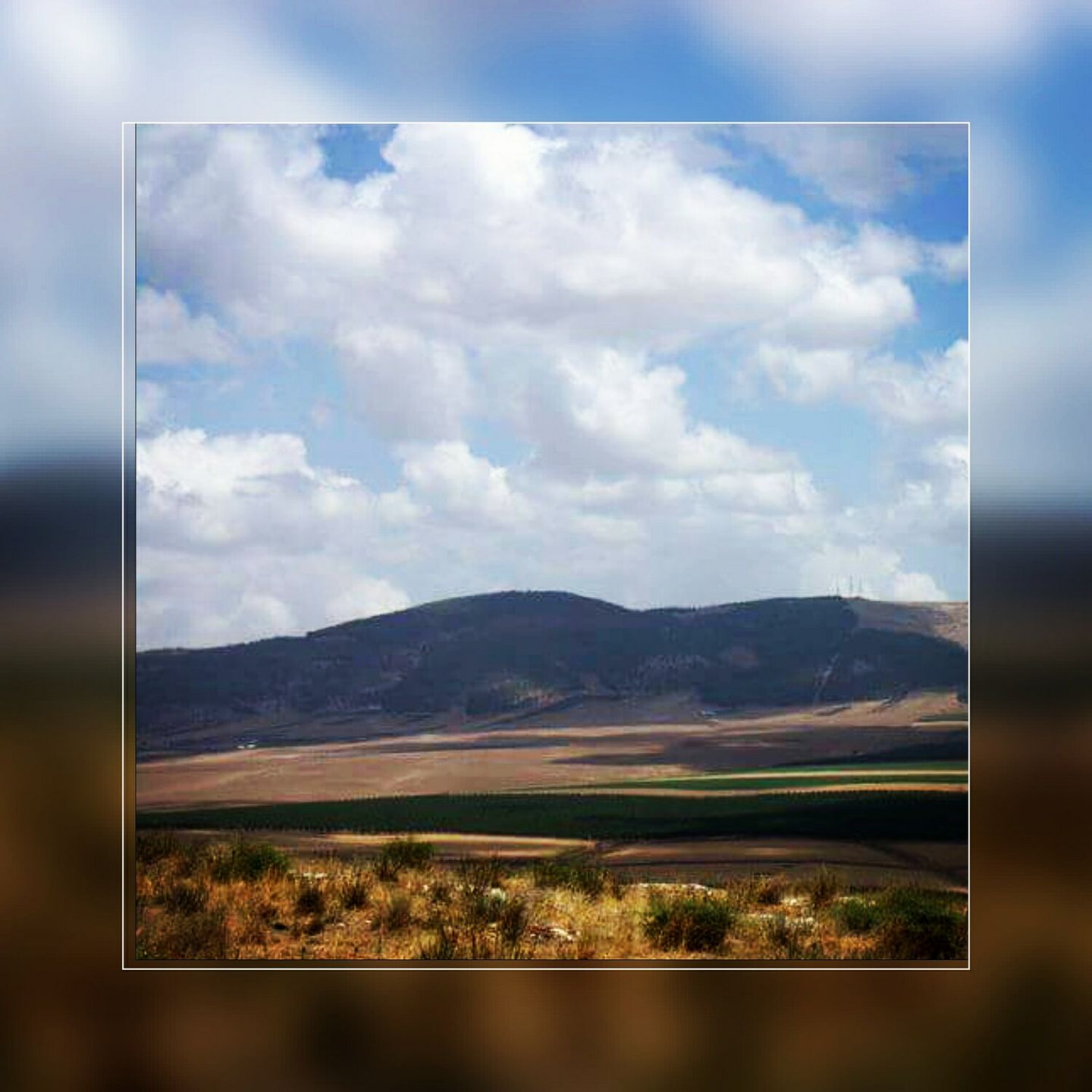 צילום: שי הדר